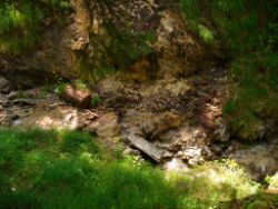 2013-07-13_Regina-F-Rau_Sonnenspitze3 (037).JPG